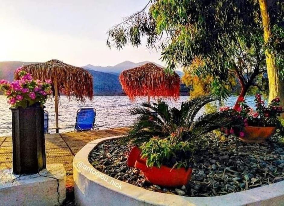 Seascape - Itea -Delphi Appartement Buitenkant foto